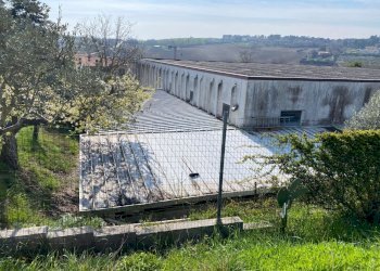 co17.jpg - Commercial Premises Sirolo - photo 15