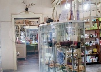 Gemini_Generated_Image_k9344nk9344nk934.jpg - Casa indipendente San Giorgio a Cremano - foto 6