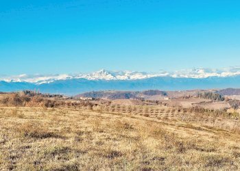 14.jpeg - Villa Località Cerreta 1, Roddino - photo 15