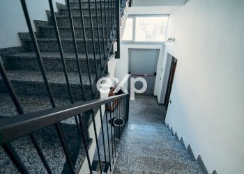 Capannone Via Cadore, Seveso - foto 53