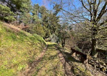 Casa indipendente Località cascina bisognosa, Cintano - foto 44