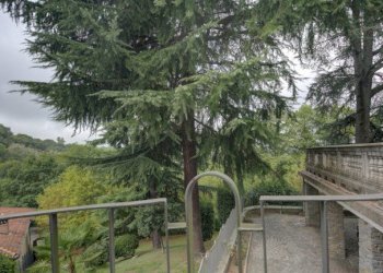 Villa Unifamiliare Moncalieri - foto 42