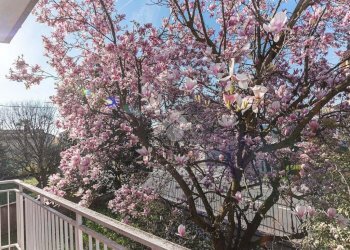 Quadrilocale Via lanzo, Ciriè - foto 20