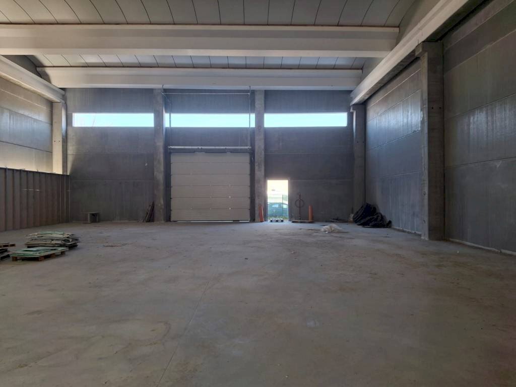 Capannone San Donato Milanese - foto 2