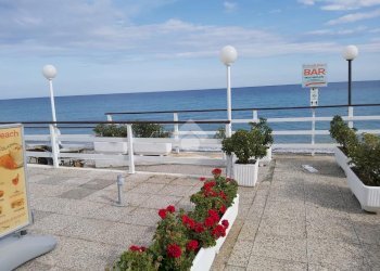 Commercial Activity Attività bussana, Sanremo - photo 6