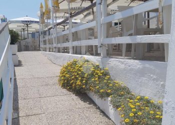 Commercial Activity Attività bussana, Sanremo - photo 8