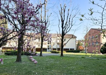 Trilocale Via puccini, Zibido San Giacomo - foto 1