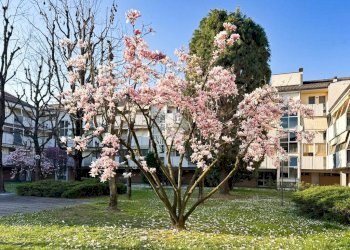 Trilocale Via puccini, Zibido San Giacomo - foto 28