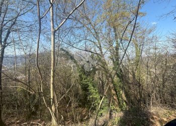 Building land Terreno Vai Piani di Fregoso, Genova - photo 9