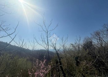 Building land Terreno Vai Piani di Fregoso, Genova - photo 10