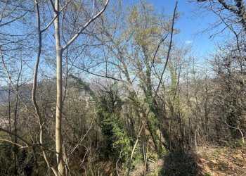 Building land Terreno Vai Piani di Fregoso, Genova - photo 11