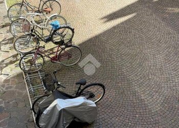 One-room apartment Viale Abruzzi, Milano (neighborhood Città Studi) - photo 17