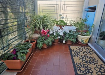 Trilocale VIA PORRATA, Genova (zona Prà) - foto 30