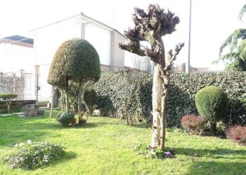 Two-room apartment Via Poligonia, Alessandria - photo 30