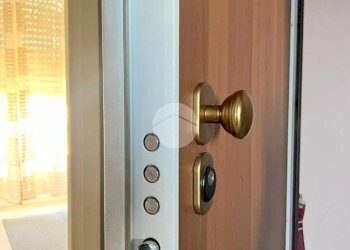 Trilocale Via borgaro, Torino (zona Madonna Campagna) - foto 14