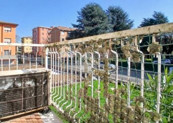 Quadrilocale Via Cristo Risorto, Cassano d'Adda - foto 33