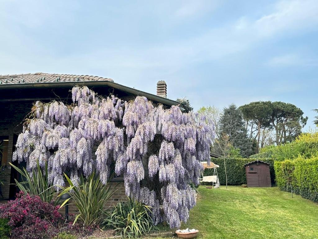 Villa Via Pini, Vizzolo Predabissi - foto 2