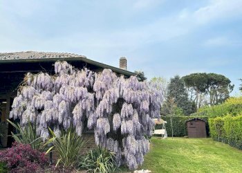 Villa Via Pini, Vizzolo Predabissi - foto 2