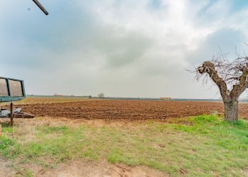 Rustico Paschera San Defendente, Caraglio - foto 15