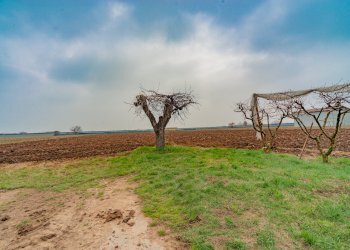 Rustico Paschera San Defendente, Caraglio - foto 21