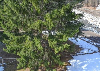 Three-room apartment Via Malzat , Prali - photo 29