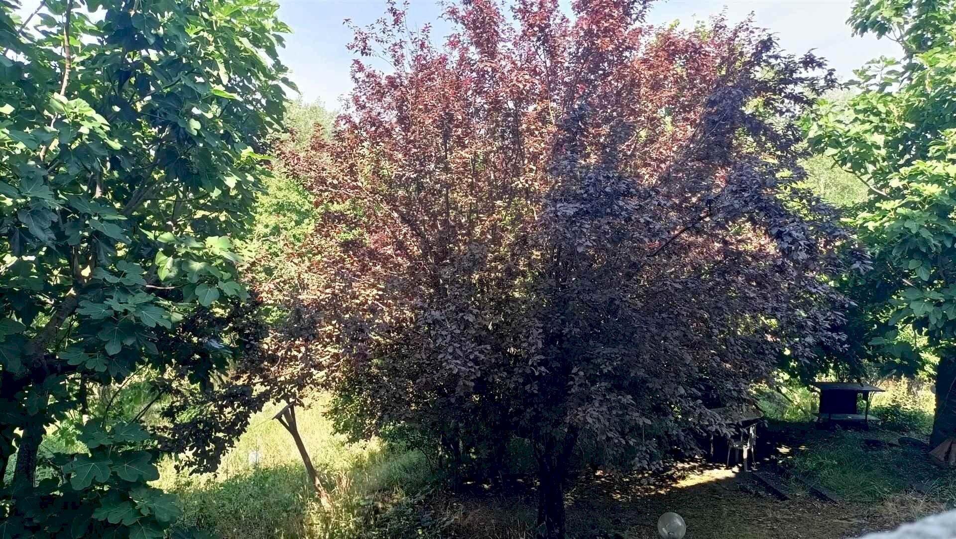 Terratetto - Terracielo Via Bolognese, Castiglione dei Pepoli - foto 3