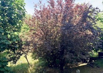 Terratetto - Terracielo Via Bolognese, Castiglione dei Pepoli - foto 3