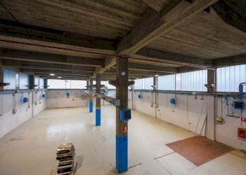 Capannone Rivoli - foto 10