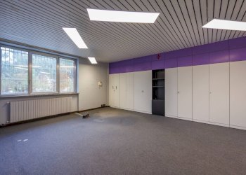 Capannone Rivoli - foto 20