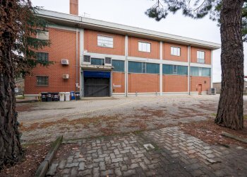 Capannone Rivoli - foto 59