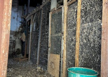 Foto 7 - Rustic VIA DON MINZONI
 
24, Burago di Molgora - photo 7