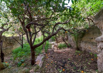 Giardino - Independent house Via Argenteria
 
115, Erice - photo 31