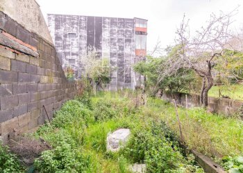 Giardino - Casa indipendente Via Nuova Guglielmo Marconi
 
26, Zafferana Etnea - foto 18