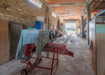 Non correlato - Locale Commerciale C.da Borgesia SS194 Km32, Francofonte - foto 15