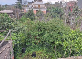 Giardino - Casa semi indipendente Via Stazione
156, Acireale - foto 10