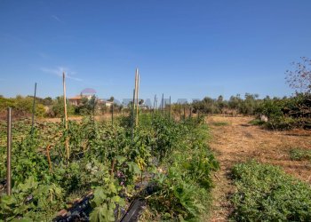 Giardino - Capannone via Rumania
 
4, Siracusa - foto 17