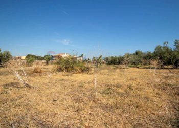 Non correlato - Capannone via Rumania
 
4, Siracusa - foto 20