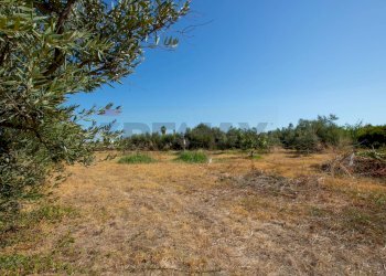 Giardino - Capannone via Rumania
 
4, Siracusa - foto 25