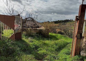 Giardino - Terreno edificabile contrada Regalseme
 
sn, Caltagirone - foto 7