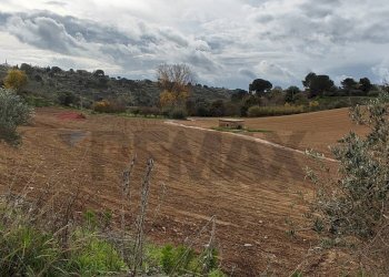 Vista delle montagne - Terreno edificabile contrada Regalseme
 
sn, Caltagirone - foto 14