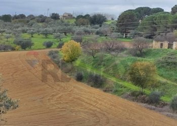 Giardino - Terreno edificabile contrada Regalseme
 
sn, Caltagirone - foto 17