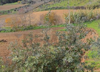 Vista delle montagne - Terreno edificabile contrada Regalseme
 
sn, Caltagirone - foto 19