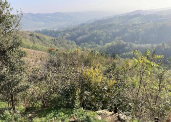 Vista delle montagne - Independent house VIA SOLINGA
 
3, Stradella - photo 6