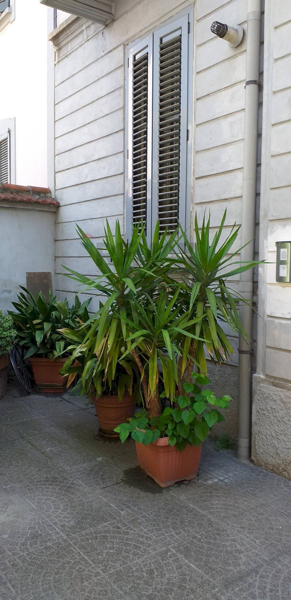 Terrazza - One-room apartment Via Alessandro Tadino
 
34, Milano - photo 2