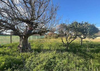 Giardino - Villa STRADA PROVINCIALE 67 S.M. del FOCALLO
 
11, Ispica - photo 44