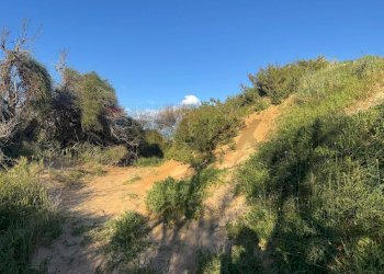 Vista delle montagne - Villa STRADA PROVINCIALE 67 S.M. del FOCALLO
 
11, Ispica - photo 58