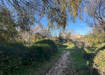 Giardino - Villa STRADA PROVINCIALE 67 S.M. del FOCALLO
 
11, Ispica - photo 59