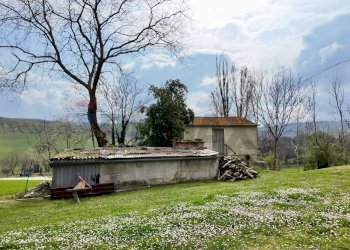 Giardino - Semi-detached house Frazione Castiglioni
 
77, Arcevia - photo 8