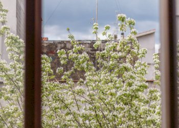 Giardino - Appartamento Via Firenze
 
45, Canino - foto 13