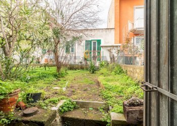 Giardino - Appartamento Via Firenze
 
45, Canino - foto 38